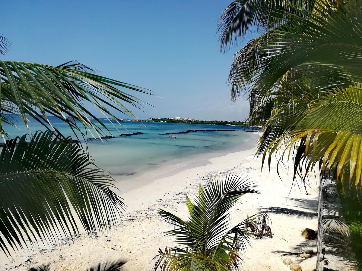Villas Picalu Lodge Puerto Aventuras Εξωτερικό φωτογραφία