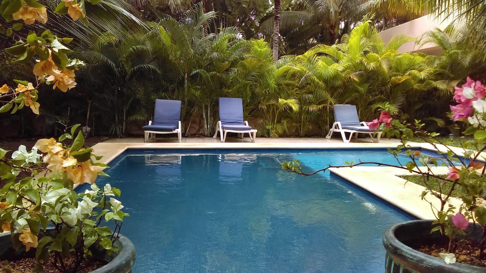 Villas Picalu Lodge Puerto Aventuras Εξωτερικό φωτογραφία